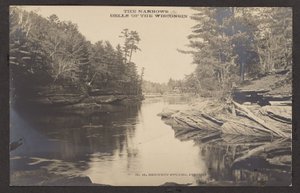 De trånga källorna i Wisconsin av Henry Hamilton Bennett