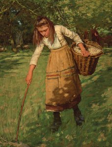 Ullsamlaren,