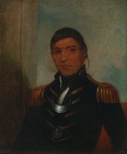 Big Buffalo (Chippewa) av Henry Inman