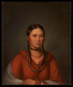 Hayne Hudjihini, Glädjens örn av Henry Inman
