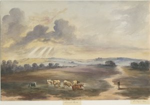 Cannock Chase - "Heath": akvarellmålning, 1844