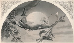 Stormen Ariel, c1870