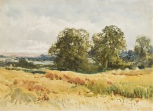 Skördefält, ca 1910 (akvarell på papper)