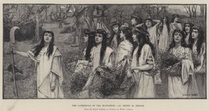 Mistelns insamling av Henry Meynell Rheam