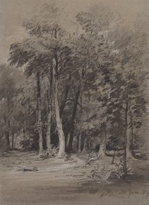 Ett trädbevuxet spår av Henry Monro