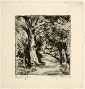 Skogsväg. Riis skog av Henry Nielsen