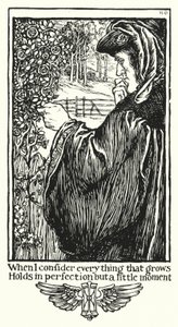 Shakespeares sonetter, Sonnet XV (litho) av Henry Ospovat