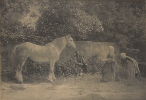 [Old Dapple] av Henry Peach Robinson
