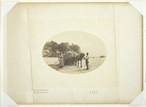 På Cader-Idris sluttningar, The Last Load of Hay, 1883. av Henry Peach Robinson
