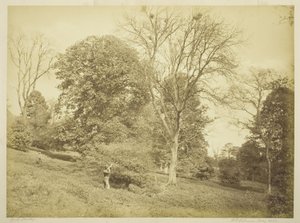 Rook Shooting av Henry Peach Robinson