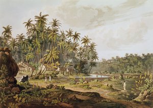 Utsikt nära Point du Galle, Ceylon, graverad av Daniel Havell (1785-1826) publicerad 1809