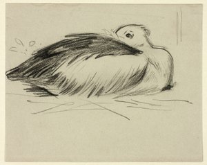 Skiss av häckande stork av Henry Stacy Marks