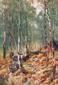  av Henry Sutton Palmer