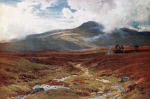 En mosse nära Killin, Perthshire (färglitografi)