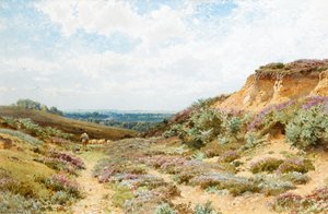 Heather on a Surrey Heath (wc på papper)