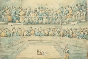 Hundkamp i Westminster Pitt av Henry Thomas Alken