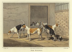 Fox Hounds (chromolitho) av Henry Thomas Alken
