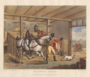 Hästar [serie om sex]: 2. Stanhope-häst av Henry Thomas Alken