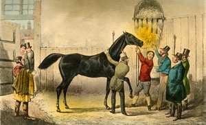 Baronen vill sin Wet, 1838 av Henry Thomas Alken