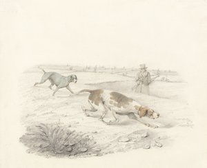 Two Pointers, vända åt höger med en Sportsman (grafit & wc på papper) av Henry Thomas Alken