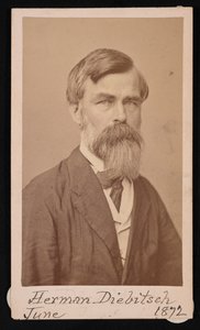 Porträtt av Herman Henry Diebitsch 1818-1883, 1871.