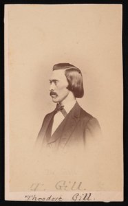 Porträtt av Theodore Nicholas Gill 1837-1914, mellan 1865 och 1870. av Henry Ulke
