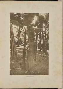 Sällskap av Henry W. Cave