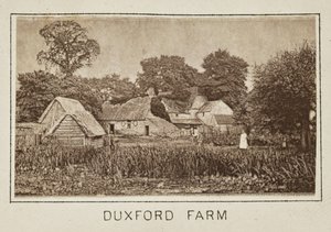 Duxford Farm av Henry W. Taunt