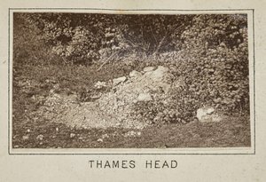 Thames huvud