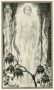 The White Devil av John Webster: The White Devil (litho)