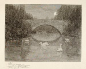 Kväll, Svansjön, Central Park, New York av Henry Wolf