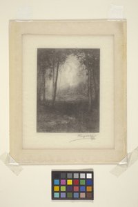 In The Adirondacks (bläck) av Henry Wolf