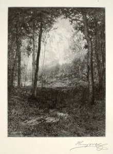 I Adirondacks av Henry Wolf