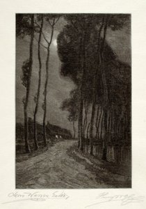 Månsken i Holland av Henry Wolf