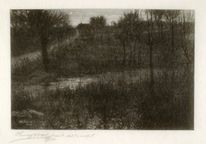 Aftonstjärnan (motivet hittades i Catskills) av Henry Wolf