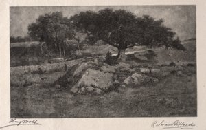 Vägkanten. av Henry Wolf