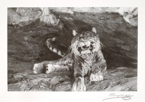 Tiger av Henry Wolf