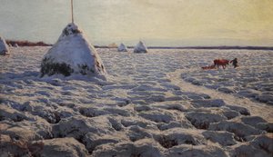 Litauiska träsk under snö.