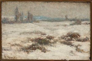 Vinterlandskap