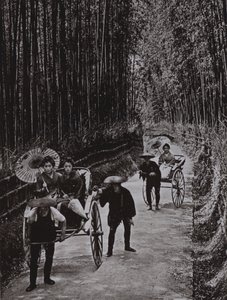 A Bamboo Avenue i Kyoto (s/v foto) av Herbert Ponting