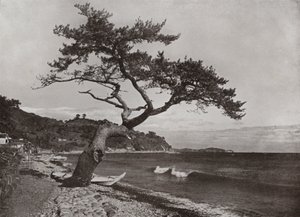 Atami (s/v foto) av Herbert Ponting