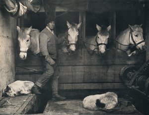 Kapten Oates, på Terra Nova med de sibiriska ponnyerna, c1911, 1914.