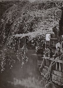 Cherry-Blossom Time i Japan (s/v foto) av Herbert Ponting