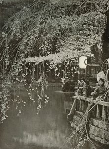Cherry-Blossom Time i Japan, 1910. av Herbert Ponting