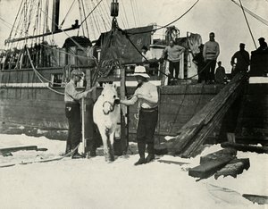 Landstigning av ponnyerna, c19101913, 1913 av Herbert Ponting