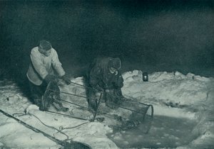 Dr. Atkinson och Clissold Hauling Up The Fish-Trap, 28 maj 1911, 1913 av Herbert Ponting