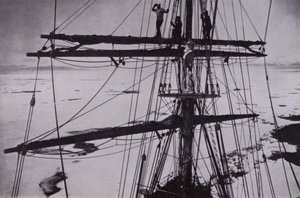 "I tjugo dagar höll flocken dem" (s/v foto) av Herbert Ponting