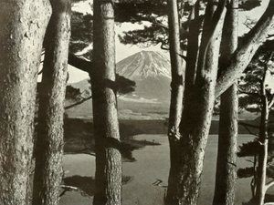 Fuji och tallarna, 1910. av Herbert Ponting