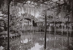 Kameido (s/v foto) av Herbert Ponting