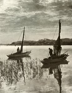 På Tokyobukten, 1910. av Herbert Ponting